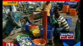 Ratnagiri | Fish Market Got Silent As Of No Transaction Happened