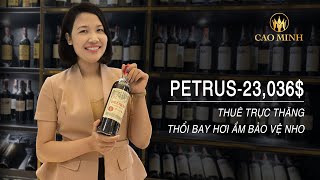 SIÊU PHẨM Rượu Vang Đỏ PETRUS| Những Chai Vang Đắt Đỏ Nhất Thế Giới (Phần 1)