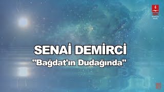 SENAİ DEMİRCİ  \