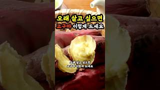 오래 살고 싶으면 '고구마' 이렇게 드세요 #활력충전