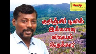 குறிஞ்சி பூவின் கதை | Kurinji poo | குறிஞ்சி மலர் | குறிஞ்சித் தேன் | kurinji flower | vaalu tv