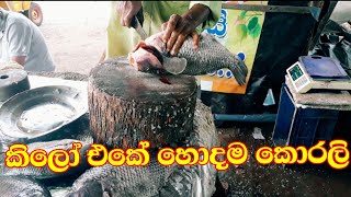 Wow!!!! කිලෝ එකේ හොදම කොරලි  මාලු කැපිල්ල👌🐟 1 Kg korali fish cutting village fish market 🇱🇰