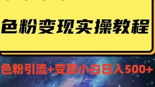 轻松引流老色批 不怕S粉一毛不拔 色粉变现保姆级教程 小白照样日入500+ 色粉引流+变现