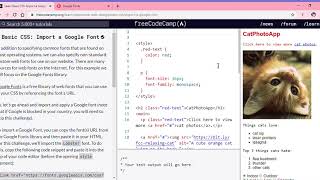 Learn Basic CSS Import a Google Font freeCodeCamp