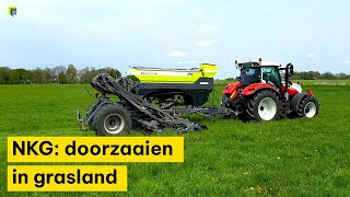 NKG: doorzaaien in grasland