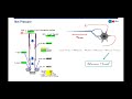 hydraulic fracturing post frac pressure analysis