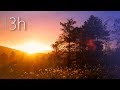 Calm Music - light, peaceful, soothing, background music [N°134 - 3h]