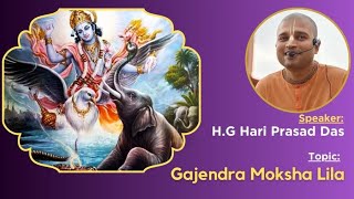 Gajendra Moksha Lila | Sunday Love Feast Programme| By HG Hari Prasad Das