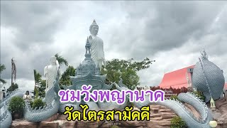 ชมพญานาควัดไตรสามัคคี อ.โพธิ์ศรีสุวรรณ