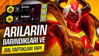 ARILARIN BARINDIKLARI VE BAL YAPTIKLARI YAPI | HOLYTHOTH TFT