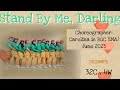 Stnd by Me, Darling #linedance - Choreo: Carolina ie #BGC (INA)- demo: WaCaNa LD GOMBONG