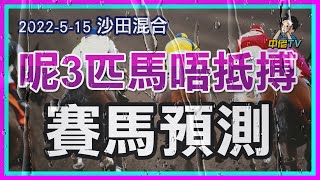 【中佬賽馬預測】5月15日沙田混合  #贏馬篩選法 ！#潘頓 連續死火🔥敲選3場唔抵搏嘅沙田死火馬！贏大錢巧妙避開熱門不穩馬匹#賽馬直播 #賽馬貼士#冷馬#過關#爆冷