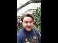 tour the madeline f. elder greenhouse with greenhouse horticulturist u0026 orchid specialist ian wilhite