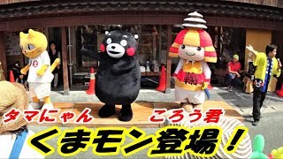 くまモン、タマにゃん、ころう君登場！＠高瀬裏川花しょうぶまつり20190601