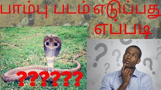 பாம்பு படம் எடுப்பது எப்படி// How cobra have hood//###readtoknow