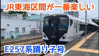 【E257系踊り子号】デビューから半年　JR東海区間が一番楽しい　三島～熱海