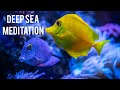 DEEP SEA || DEEP MEDITATION MUSIC