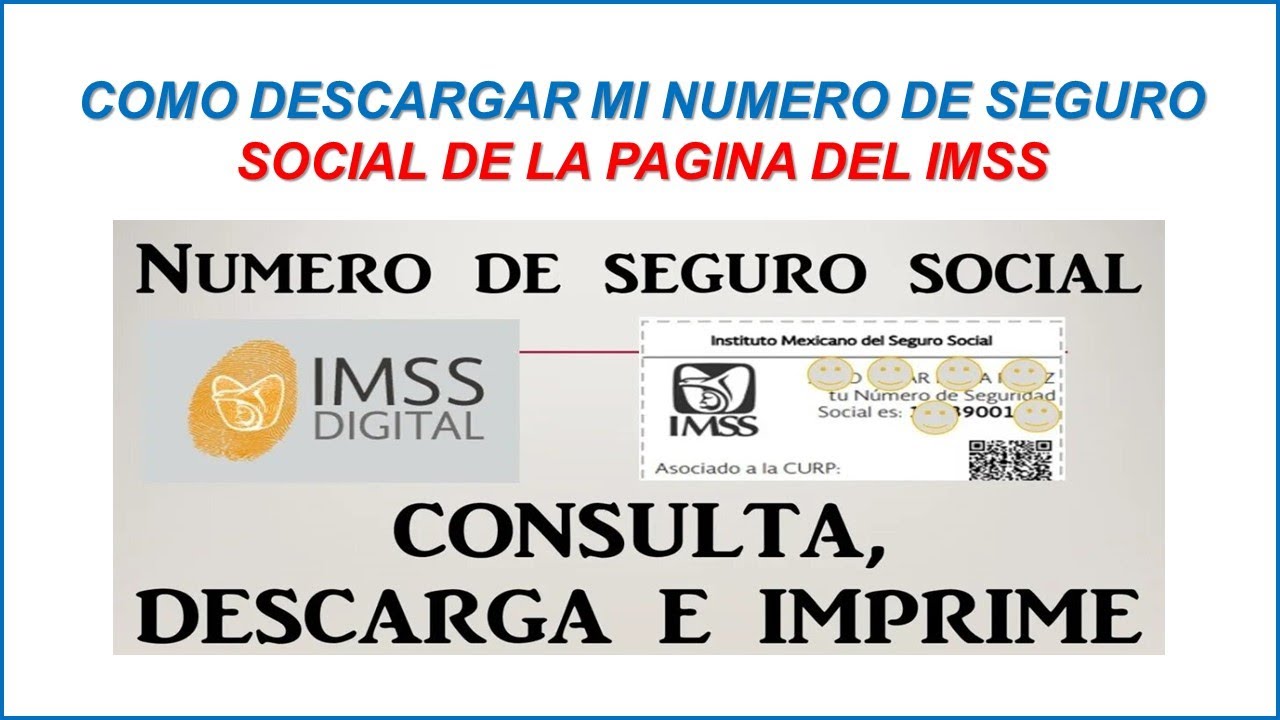 Como Descargar Mi Numero De Seguro Social De La Pagina Del IMSS 2024 ...