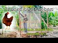 264. Vlog buat reban ayam semudah ABC, cepat jimat dan ringkas hanya 7 minit tamat