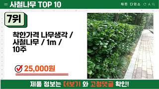 요즘 잘 팔리는 사철나무 추천 TOP10 (가격,평점,비교)