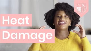 Heat Damaged Hair - The ONLY way to revive your hair might SCARE you [CurlMix University]