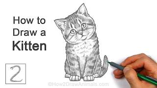 How to Draw a Kitten Sitting