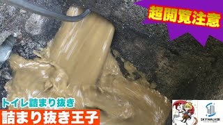 【詰まり抜き】職人が高圧洗浄でトイレを詰まり抜き！汚物が大量に出てきました！排水管を高圧洗浄できれいに掃除！すっきり！[drain][排水溝掃除][現場]