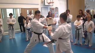 Breaking course - Zanshin Karate