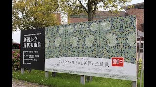 小さな窓の花ごよみ 1188 ウイリアム・モリスと英国の壁紙展  ♪ Greensleeves  ♪