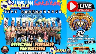 🔥 LIVE MACAN RIMBA REBORN Live Menayu Muntilan Magelang