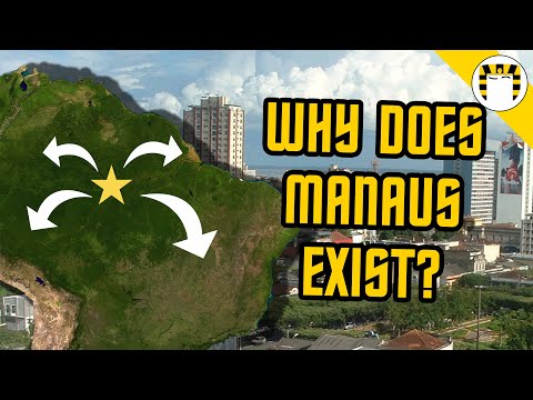 Who owns the Brazilian rainforest?