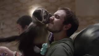 Mountain Dew׃ "Puppy Monkey Baby" - 2016 Super Bowl Commercial