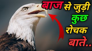 बाज के बारे मे रोचक बाते । Intresting things about hawk । Intresting things about eagle