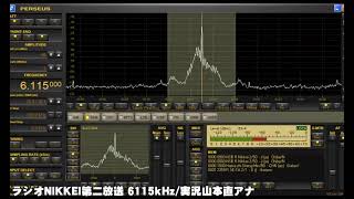 【ラジオNIKKEI第二放送】2021年3月14日／＜1回阪神競馬10日 報知杯フィリーズレビュー＞【競馬ラジオ】