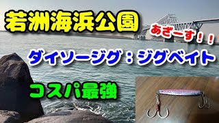 若洲海浜公園2019.12.14　Tokyo  Seabass  game