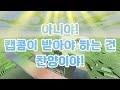 몬스터 헌터 와일즈 출시 전날의 내 마음