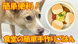 【簡単手作り犬ご飯】簡単便利！食堂の簡単手作りごはん【帝塚山ハウンドカム】