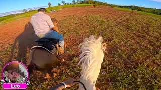 RACHA CONTRA O CAVALO DO RENATO !! 😱