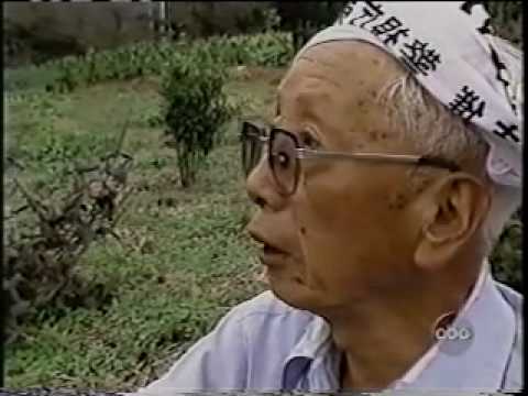 Fountain Of Youth Youtube