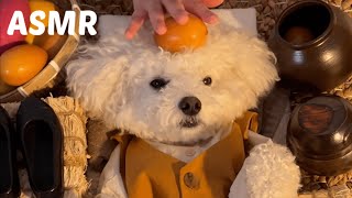 ASMR 🐶돌쇠강아지의 잠이 오는 첫 고급 에스테틱 | Dog skincare massage roll play🐾