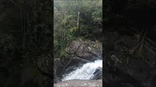 #shorts ,BEKER'S SUB WATER FALL, HORTON PLAINS NP.SRI LANKA