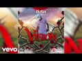 Dush - Vision (Official Audio)