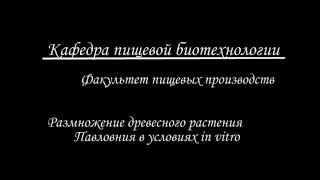 АЛМАТИНСКИЙ ТЕХНОЛОГИЧЕСКИЙ УНИВЕРСИТЕТ. \