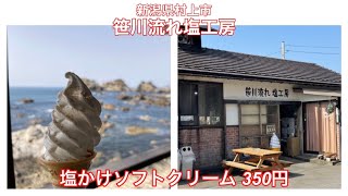 笹川流れ塩工房『塩かけソフトクリーム 350円』