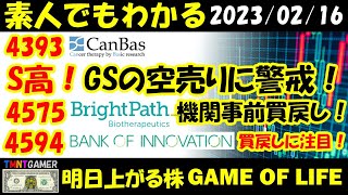 【明日上がる株】4575 キャンバス！S高！GS継続売り！4594 ブライトパス・バイオ！機関事前買戻し！出来高高くない！4393 バンク・オブ・イノベーション！次の買戻しに注目！【20230215】