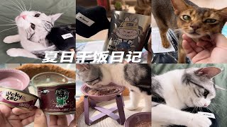 🦄假吃小猫 | Rua鱼干 | 开箱 | 夏日干饭🐈