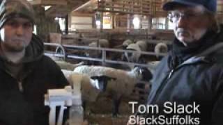 Udderly EZ Sheep Milker.flv