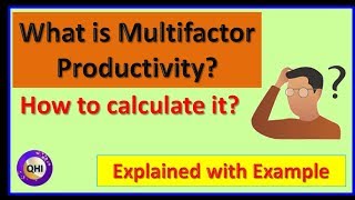 Multifactor Productivity - Explained with example