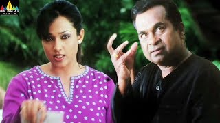 143 (I Miss You) Movie Scenes | Brahmanandam Warning to Asha Saini | Sri Balaji Video