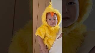 【1歳】ハロウィンはヒヨコになったよ★ #baby #赤ちゃん #赤ちゃんのいる生活 #1才児 #vlog #1歳児 #子供 #可愛い #ハロウィン #仮装